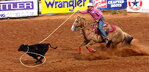 Calf Roping(tie-down Roping)